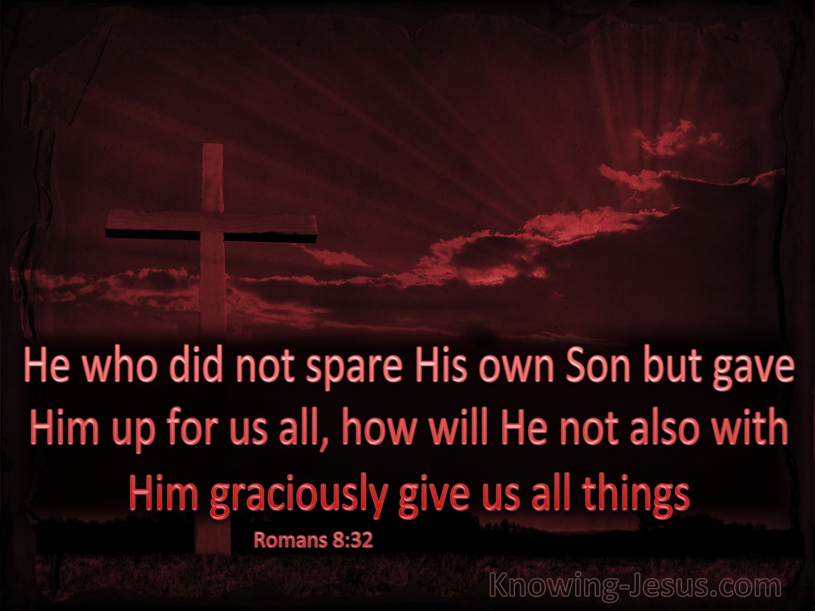 Romans 8:32 He Who Did Not Spare His Own Son (maroon)